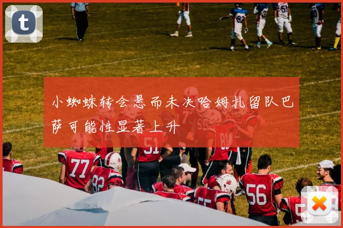 小蜘蛛转会悬而未决哈姆扎留队巴萨可能性显著上升
